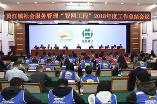 鎮召開2018年度社會服務管理“智網工程”工作總結會