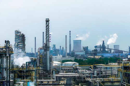 石油化工建設工程造價控制管理的工程管理服務簡析